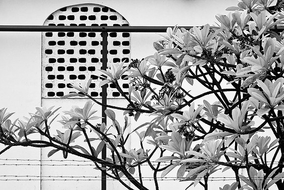 IMGP4156_ B&W