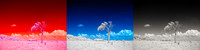 IR False Colour