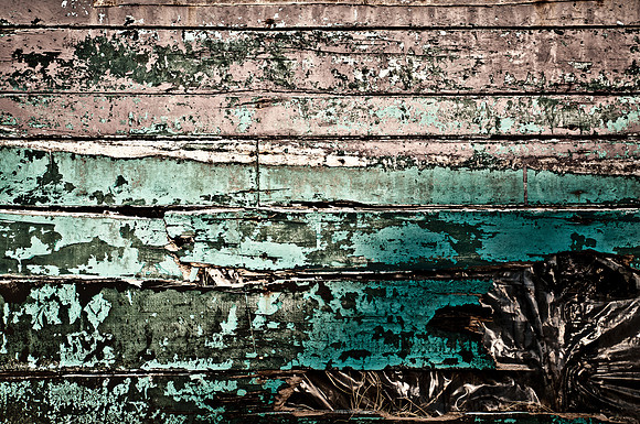 _IGP24501