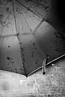 _IGP21963