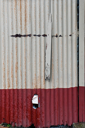 _IGP22443