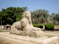 Sphinx at Memphis