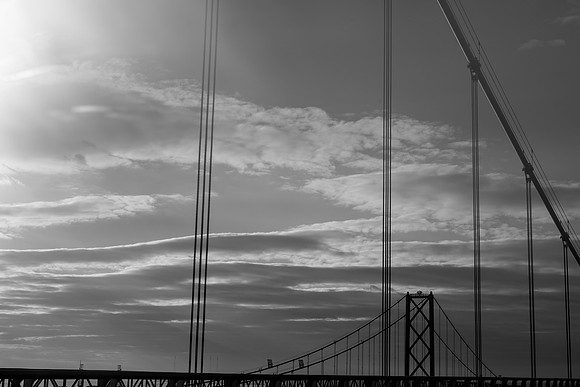 _DSC1856