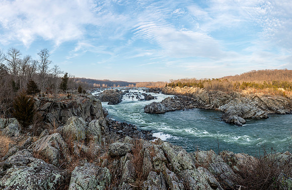 _DSC2206
