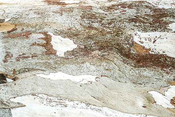 _DSF3392