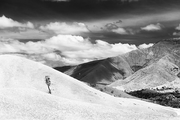 _DSC4672