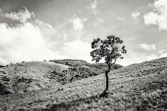 _DSC4584-Edit