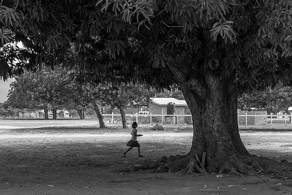 _DSC4348