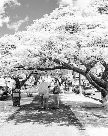 _DSC0034