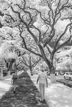_DSC0011