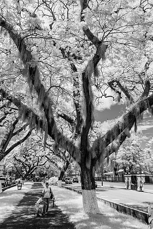 _DSC0019