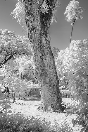 _DSC0442