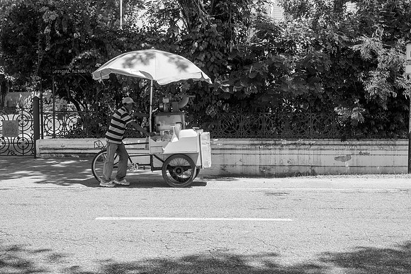 _DSC100557