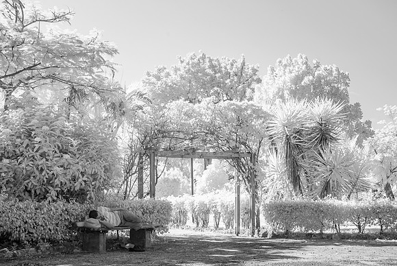 _DSC0438