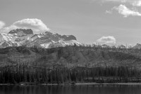Jasper 2008