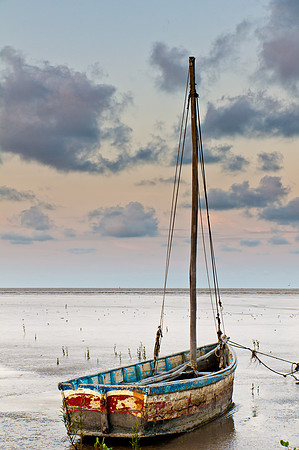 _IGP24556