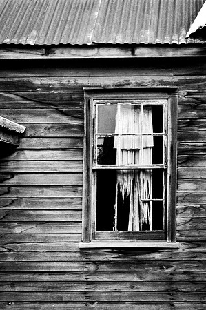 _IGP23175