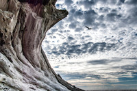 _IGP31644