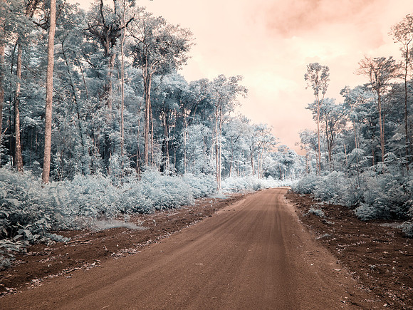 _1010202