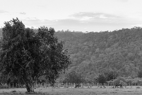 _DSC11585