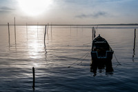 _IGP28995