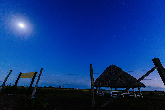 _DSC11421