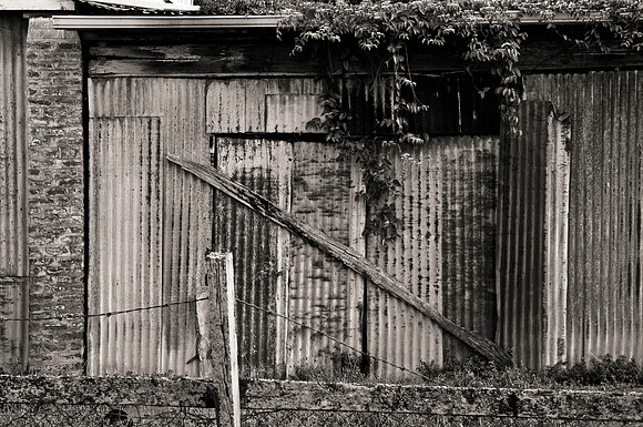 _IGP8957