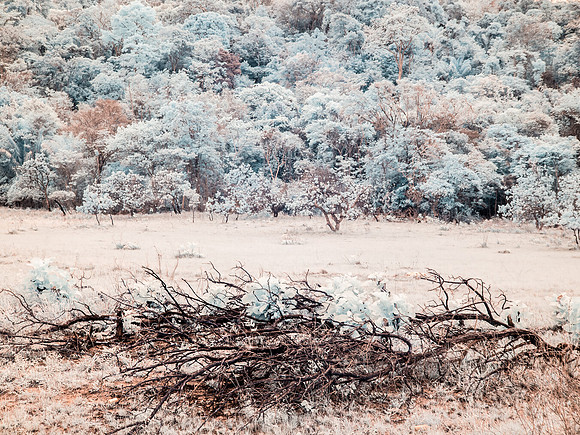 _1010353